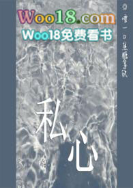私心小说简介