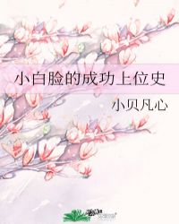 小白脸指什么