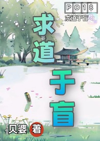 求道于盲什么意思